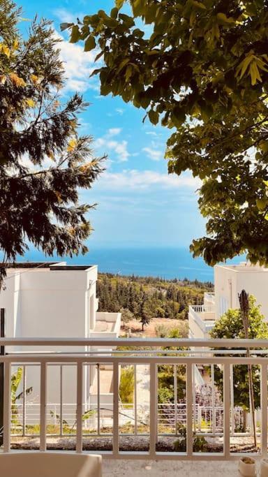 Gjoni Apartments With A Great View In Drymades Dhermi Exterior photo